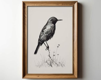 Plank & Pillow Vintage Drawing | Bird Print | Vintage Art | Large Print | Bird Sketch