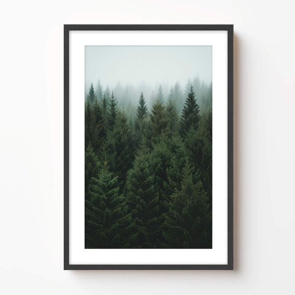 Plank & Pillow Fine Art Trees Print | Forrest Photography Evergreen Wall Art Framed Landscape Fine Art Nature Home Decor