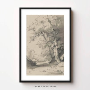 Plank & Pillow Tree Drawing | Tree Sketch | Nature Art | Large Print | Vintage Art