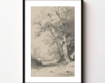 Plank & Pillow Tree Drawing | Tree Sketch | Nature Art | Large Print | Vintage Art