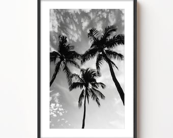 Puede incluir: Fotografía en blanco y negro de tres palmeras silueteados contra un cielo nublado.