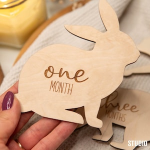 Regalo para bebé Lindos hitos del bebé con animales del bosque Tarjetas para bebés recién nacidos Hitos con flores Regalo para bebé Regalo para recién nacido Regalo único