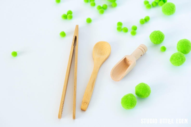 May include: A set of three wooden tools for sensory play, including a spoon, a scoop, and a pair of tongs. The tools are surrounded by green pom-poms on a white background.