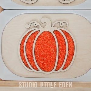 May include: A wooden pumpkin-shaped frame with a cutout of the pumpkin. The frame is filled with orange rice.