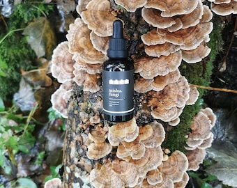 Turkey Tail Tincture