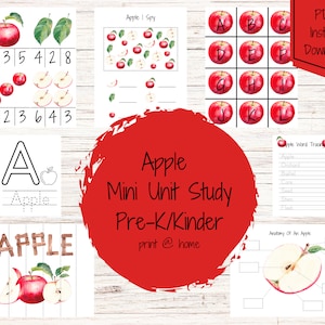 Apple Mini Einheit Studie Morgenkorb