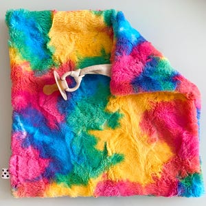 Minky Binky Buddy Lovey | Rainbow Sherbert Luxe Cuddle Blanket | Vibrant Baby Minky Pacifier Lovie