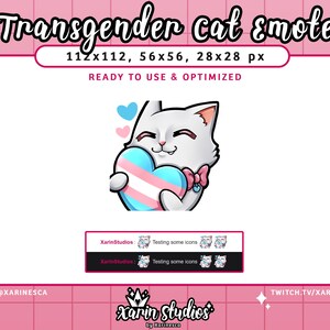 Puede incluir: Un gato blanco con ojos azules sostiene un objeto con forma de corazón con un diseño de bandera del orgullo transgénero. El gato lleva un lazo rosa. El fondo es rosa con un patrón de cuadrícula.