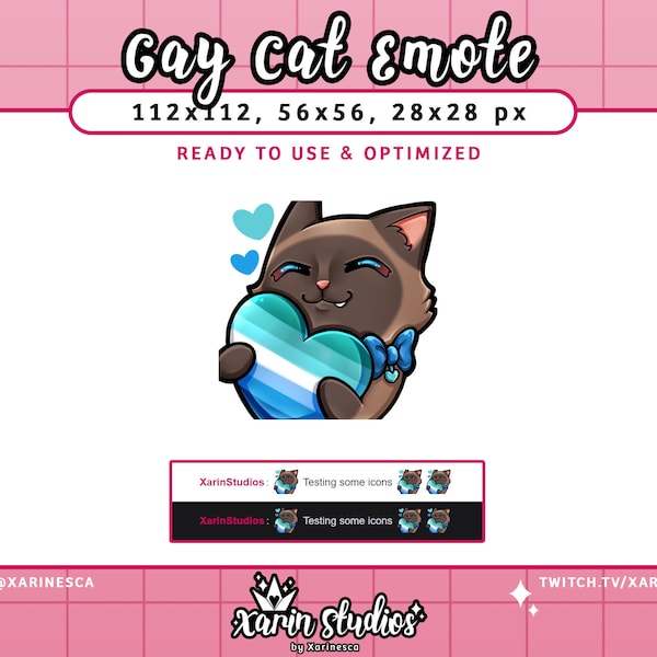 Pride Gay Cat Emote || Pride LGBTQIA+ Emote for Twitch / Discord / YouTube / Stream Emotes