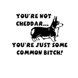 Brooklyn Nine Nine &quot;You&#39;re not cheddar...&quot; Decal