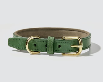 Green Leather Dog Collar | Small, Medium & Large | Padded Suede | Engraved Brass Tag