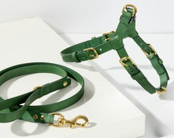 Luxury Matching Green Leather Dog Set | Matching Harness +  Lead Dog Set | Dog Gift Set