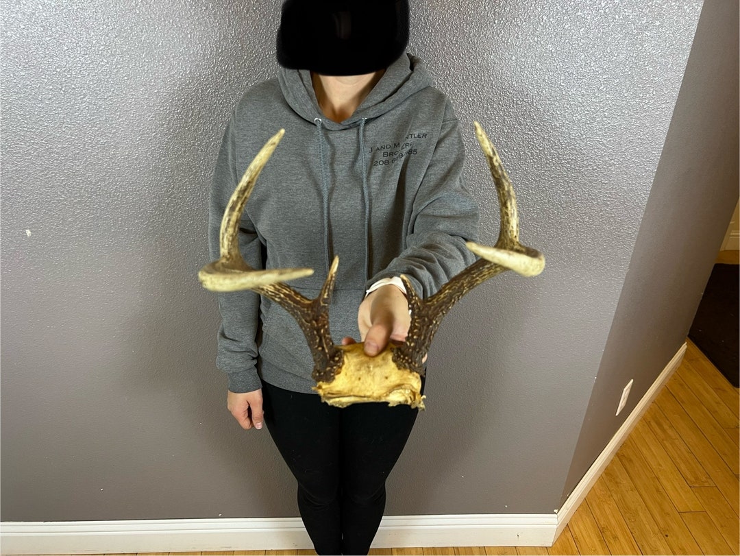 Real Whitetail Deer Antlers Set Wild Idaho 3x3 Horns Euro Etsy