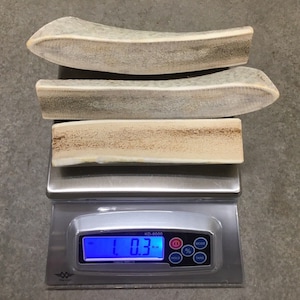 May include: Three antler dog chews on a digital scale, reading 1.03. The chews are light brown and have a rough texture.