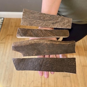 May include: Four pieces of brown antler chews are held in a hand. The chews have a rough, textured surface and varying shapes. The background includes a dog bowl and a hardwood floor.