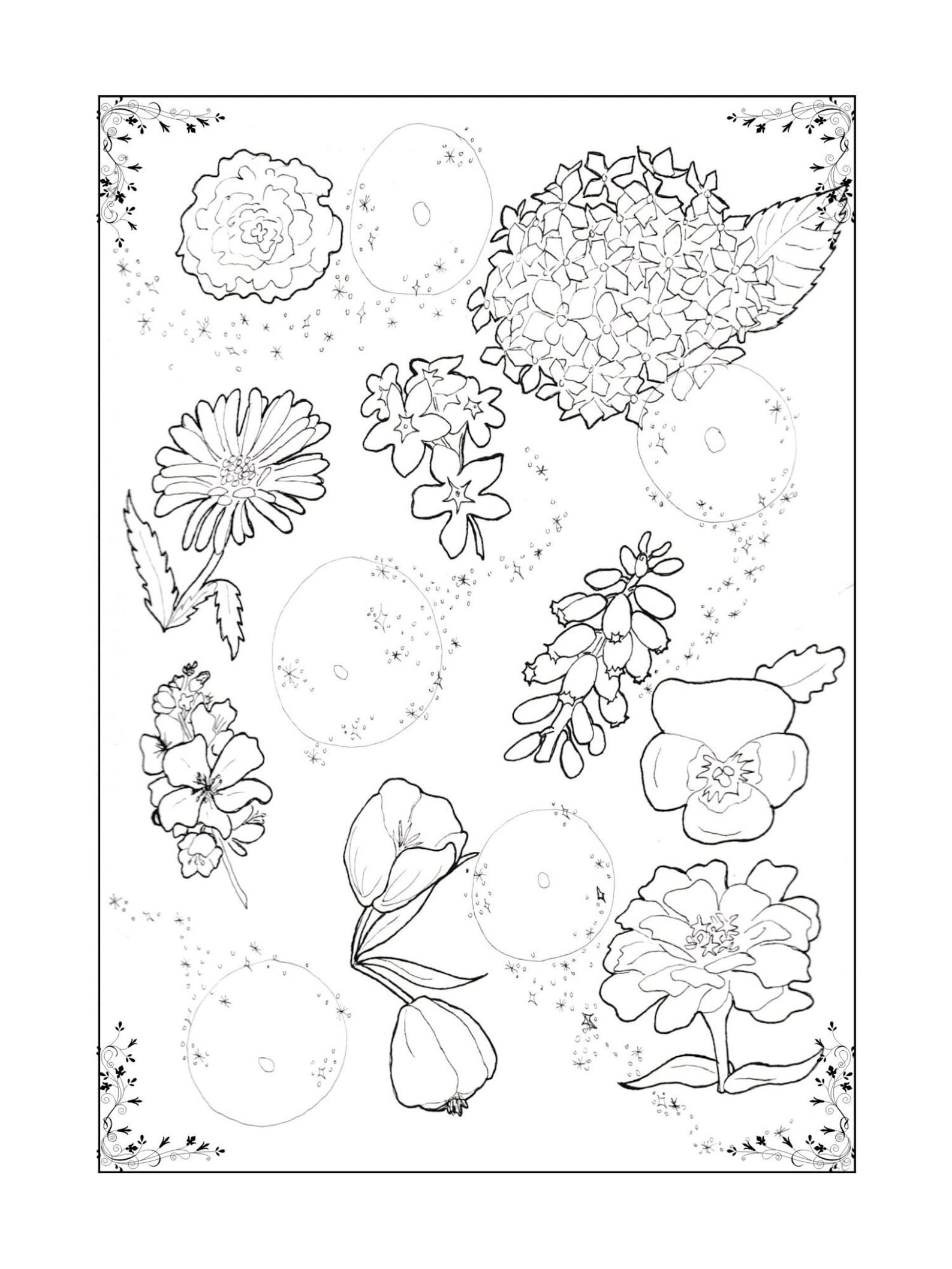 fairy and unicorn coloring pages