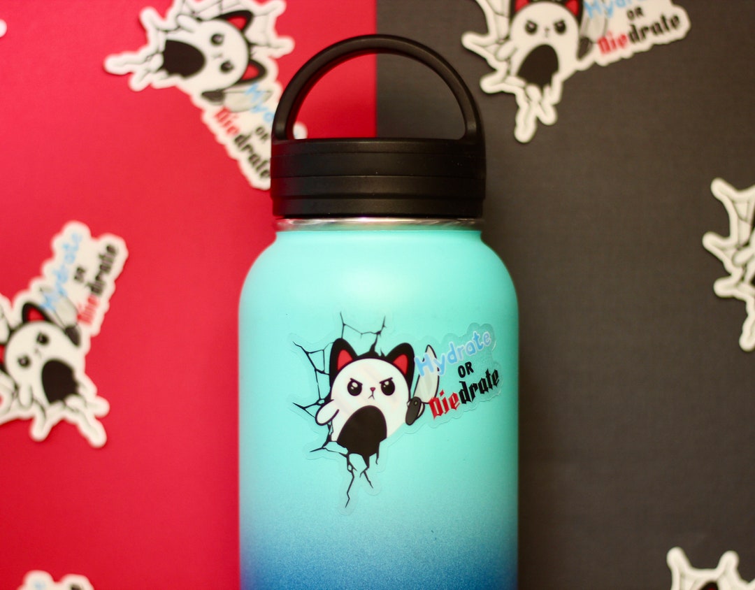 CUTE and FUNNY Cat Water Bottle Sticker Hydrate or DIEDRATE Etsy