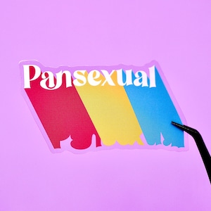Pode incluir: Um adesivo com a palavra "Pansexual" em letras brancas sobre um fundo arco-íris. O adesivo está ligeiramente rasgado nas bordas.