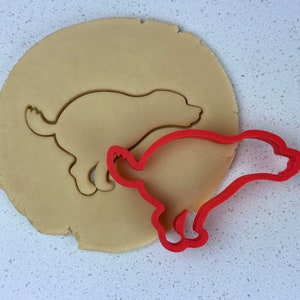 May include: A red plastic dog-shaped cookie cutter beside a piece of rolled-out dough with a dog imprint. The dough is light brown, and the cutter is a bright red. The image is shot from above.