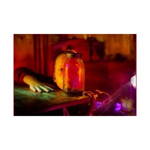 jar of fliegen 90er jahre alternativ rock Matte Horizontale Poster