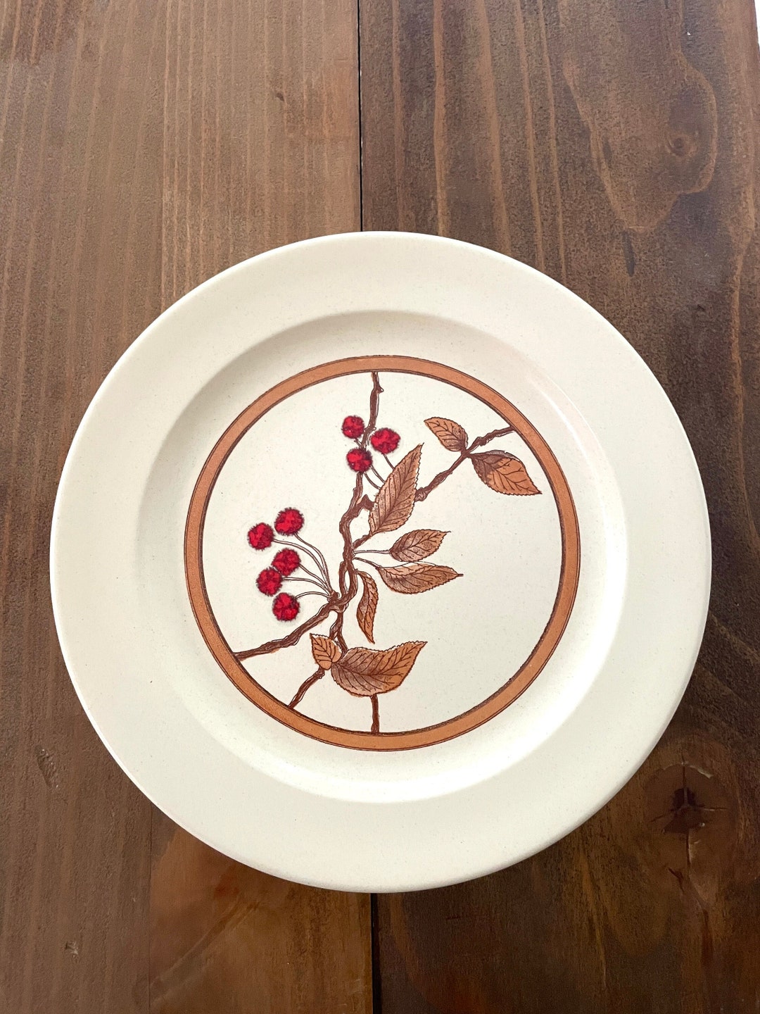 Set of 4 Vintage wild Cherry Dinner Plates Vintage Anchor Hocking Wild Cherry MCM Dinner Pates