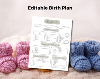 Plan de parto imprimible, plantilla Canva del plan de parto editable, lista de verificación del plan de parto visual, planificador de embarazo, educación sobre el parto, doula