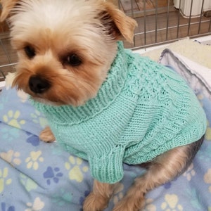 Dog Sweater Knitting Pattern image 1