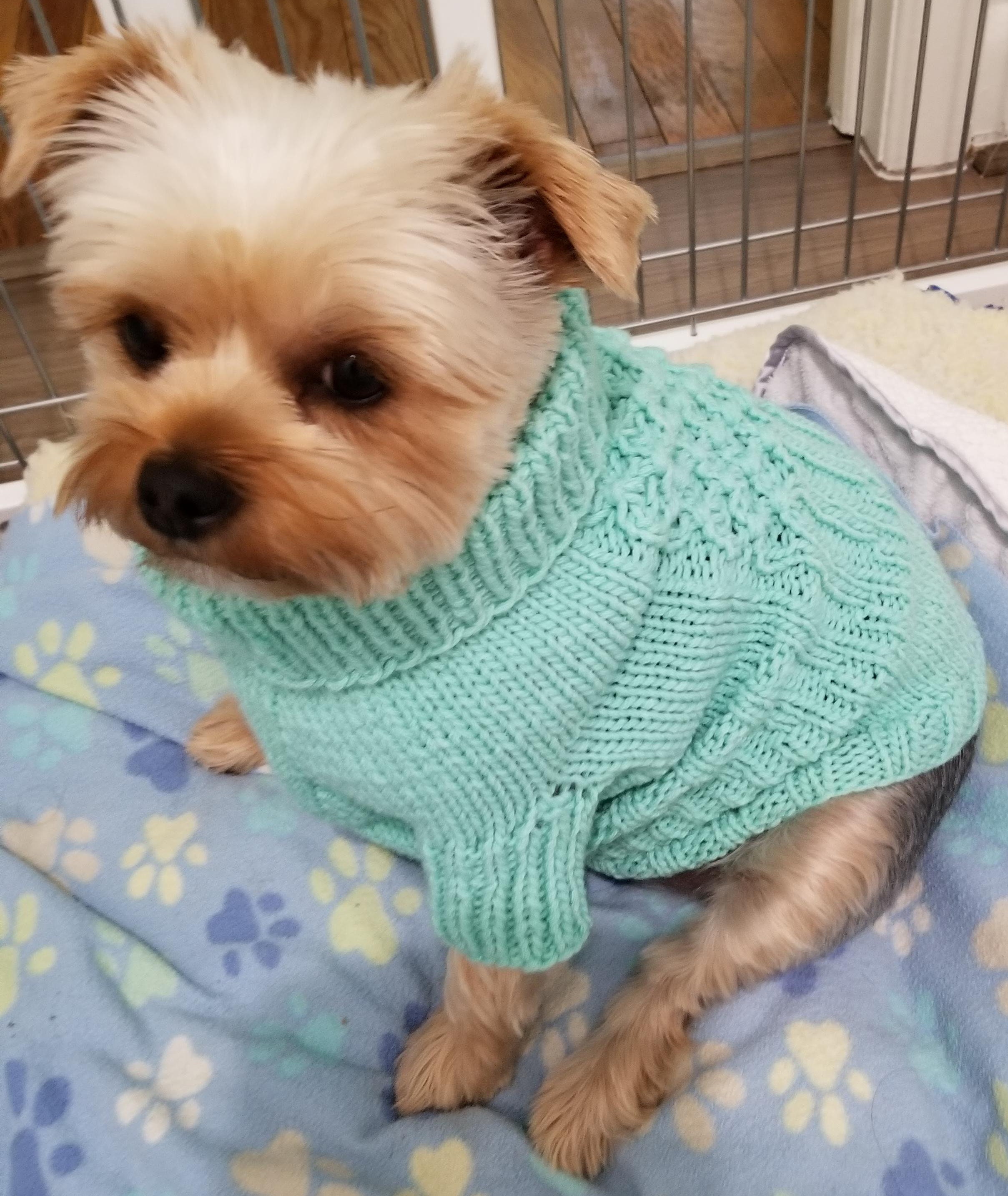 Dog Sweater Knitting Pattern Etsy Canada