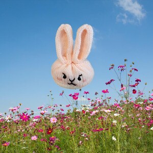 May include: A pink knitted bunny with black embroidered eyes and a frowning mouth is floating above a field of pink and white cosmos flowers.