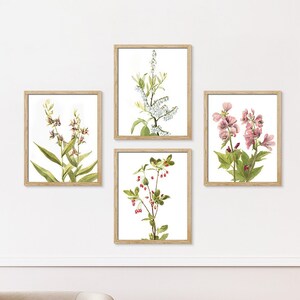 Impresión en lienzo enmarcada Arte de pared Conjunto Bosque Flores silvestres Retro Vintage Antiguo Planta Naturaleza Desierto Arte digital Arte moderno Decorativo Floral