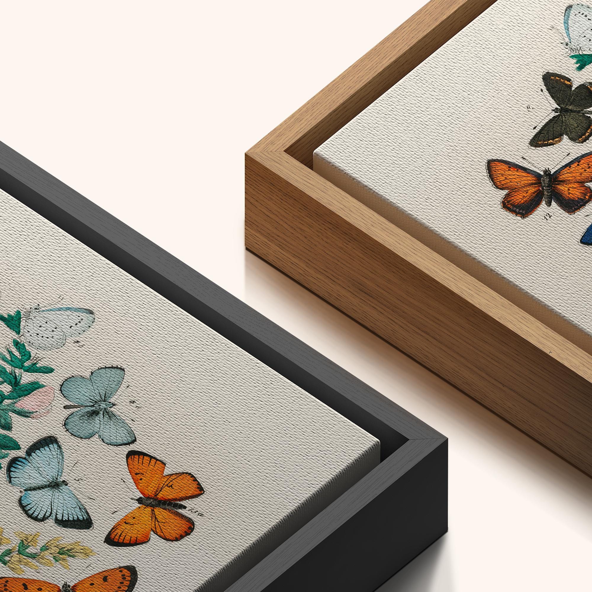Colorful Vintage Butterfly Wall Art Set of 3, Framed Botanical Insect ...