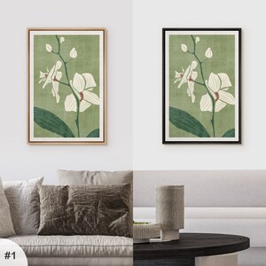 Pu&ograve; includere: Due stampe incorniciate di un fiore di orchidea bianco con foglie verdi su uno sfondo verde. Le cornici sono di colori diversi, una &egrave; in legno e l'altra &egrave; nera.