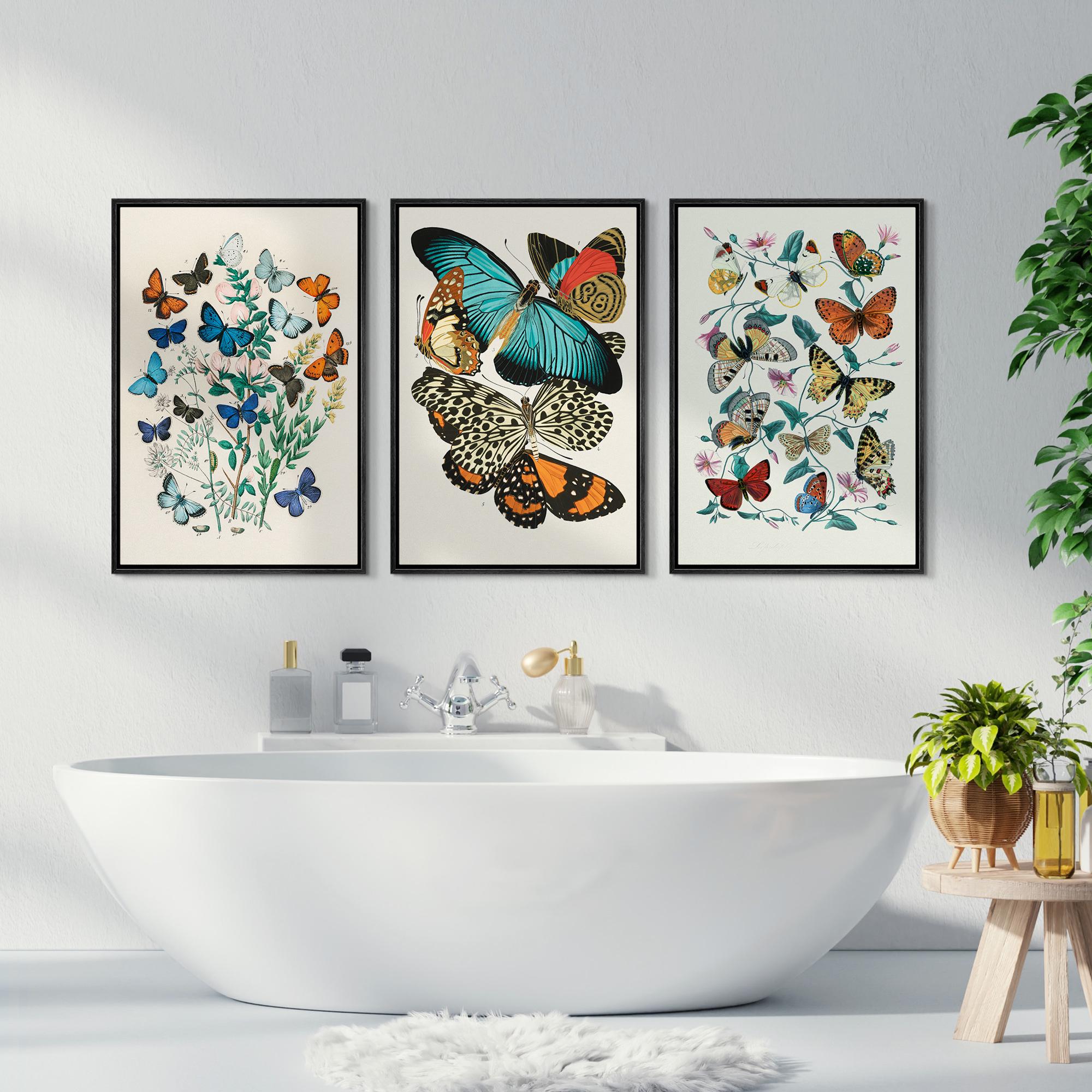 Colorful Vintage Butterfly Wall Art Set of 3, Framed Botanical Insect ...