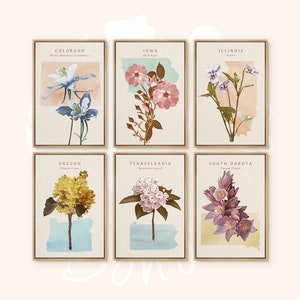 Watercolor State Flower Variety, United States, Landmark Wall Art, Colorado, Modern Minimalist Artwork, Botanical Flower Art Print, Set of 6