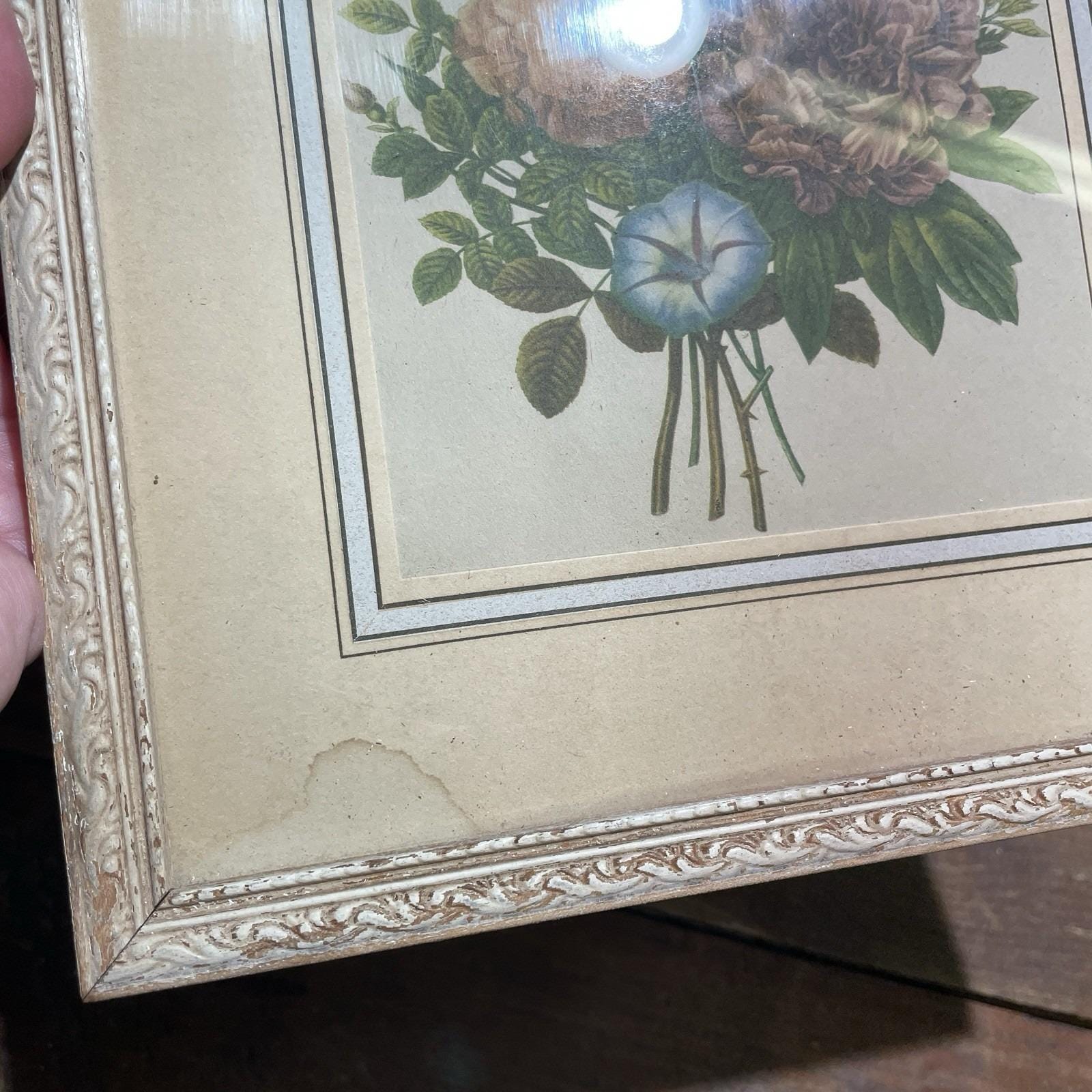 Vintage Pair of Jean Louis Prevost Botanical Framed & Matted Prints - Etsy