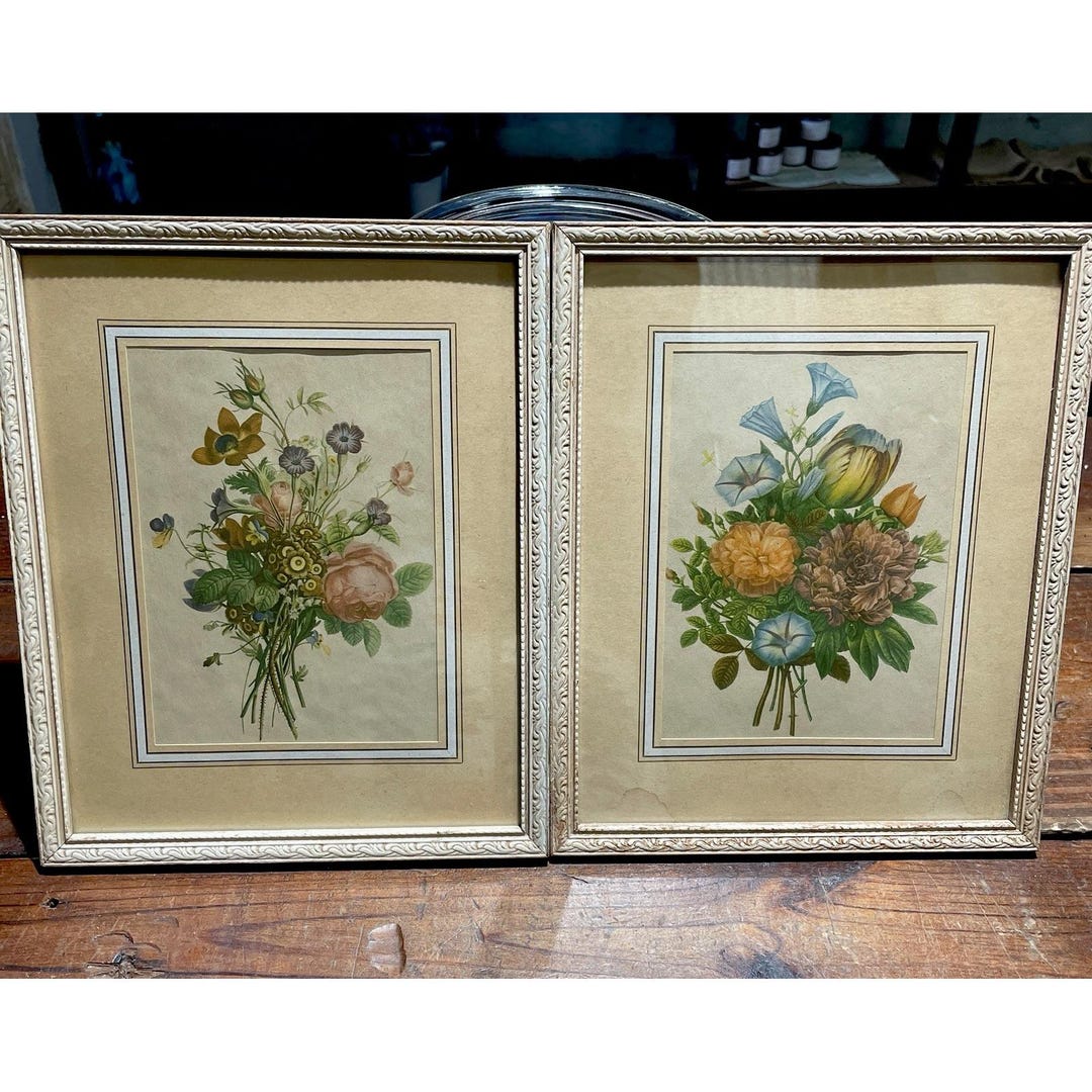 Vintage Pair of Jean Louis Prevost Botanical Framed & Matted Prints - Etsy