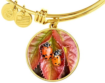 Personalized Ladybug Photo Bangle, Engraved Stainless Steel or Gold