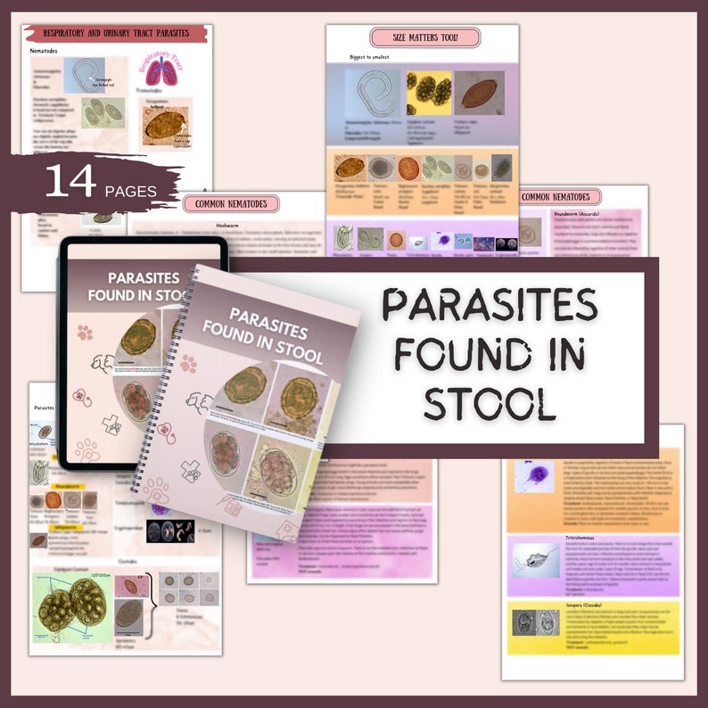 Parasites Found in Stool Parasite Cleanse Good Notes - Etsy