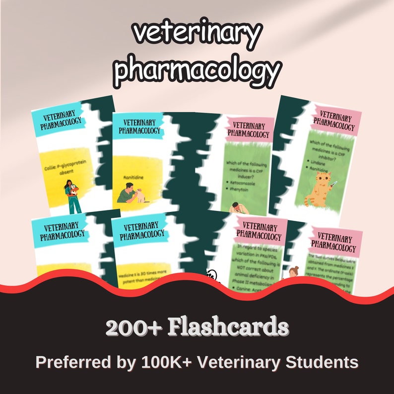 Vet Flashcards Vet Tech Printable Flashcards Study Etsy UK