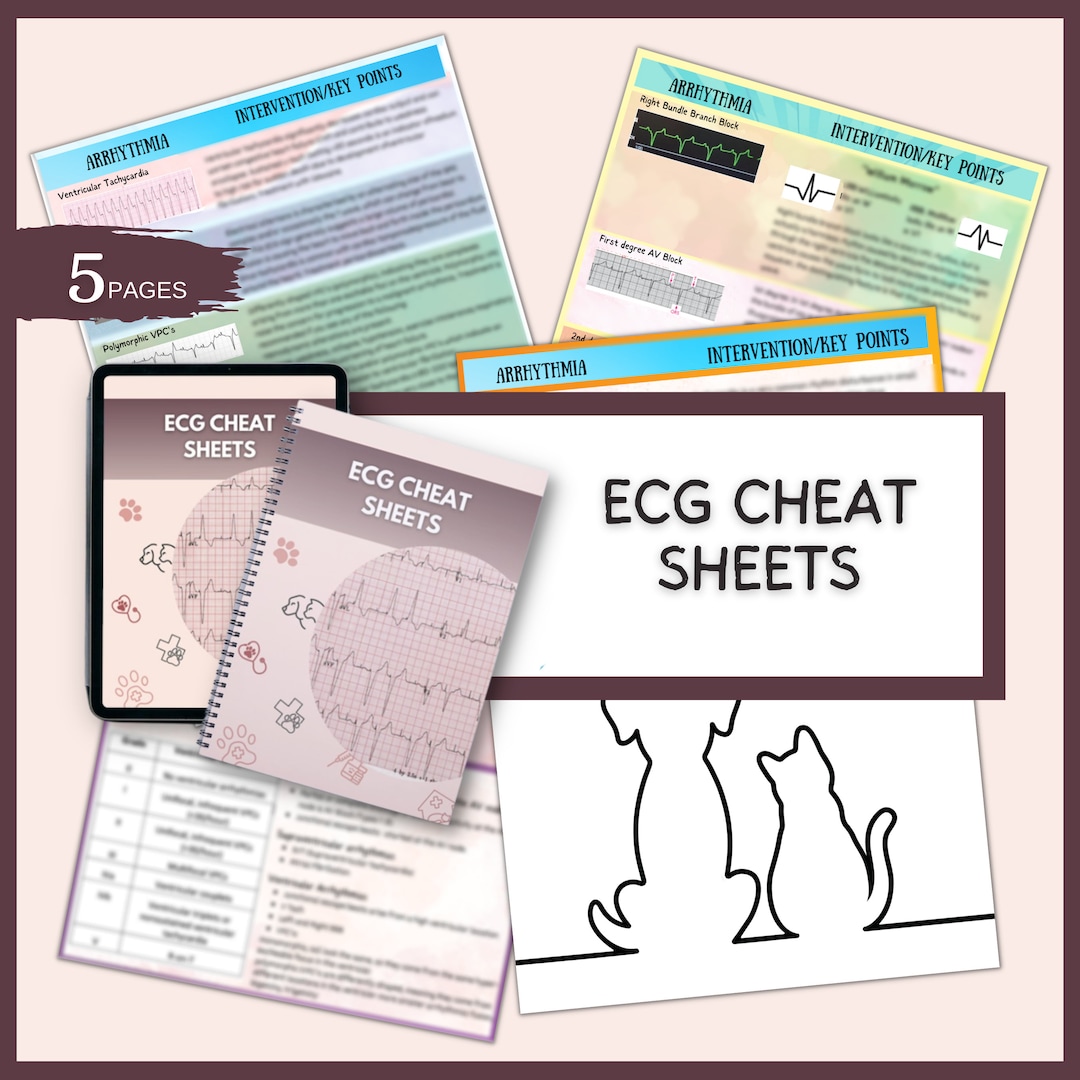 ECG Cheat Sheets Notes Template VTNE Study Guide Vet Study Notes Vet