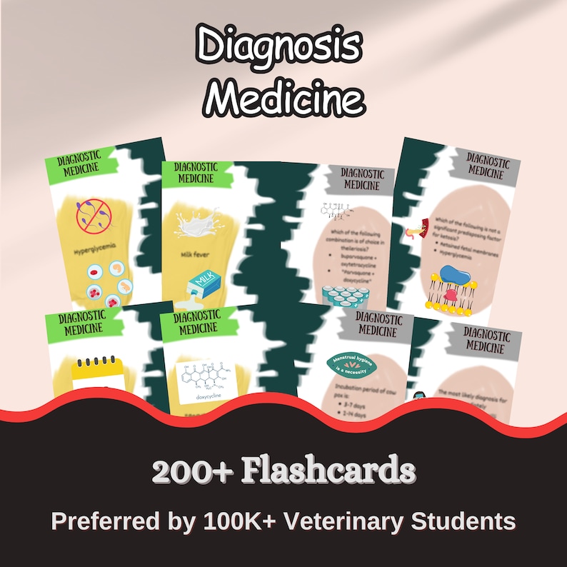 Vet Flashcards Vet Tech Printable Flashcards Study Etsy