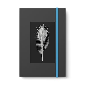 Hardback Journal / Notebook - Vintage shell design