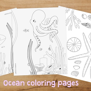 Ocean Coloring Pages I Ocean Printables I Under The Sea  I Printable I Animal printable I Kids coloring page I Homeschool activities