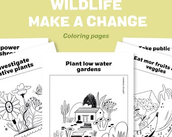 Eco-Friendly Adventures: Coloring Pages and Coloring Book to Inspire Environmental Action.