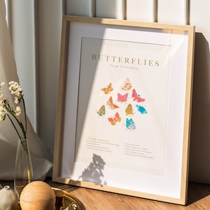 Butterfly I Playroom Print | Vintage butterfly print | Natural History Poster I Science animal art I  Larousse Illustration Gift Idea
