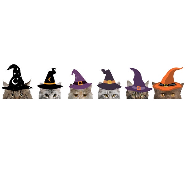 Witch Cat Digital File, Halloween PNG Digital File- Cat Digital Files-Cat witch png , Spooky Season Halloween Sublimation