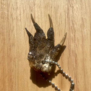 Gator Claws Etsy UK