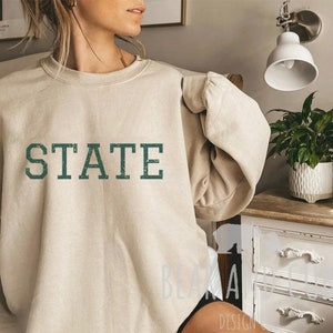 State Sweatshirt, Michigan Crewneck, Vintage College Sweatshirt, Gift for College Student, Michigan Fan Sweatshirt, State Crewneck, Michigan