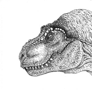 realistic dinosaurs head coloring pages