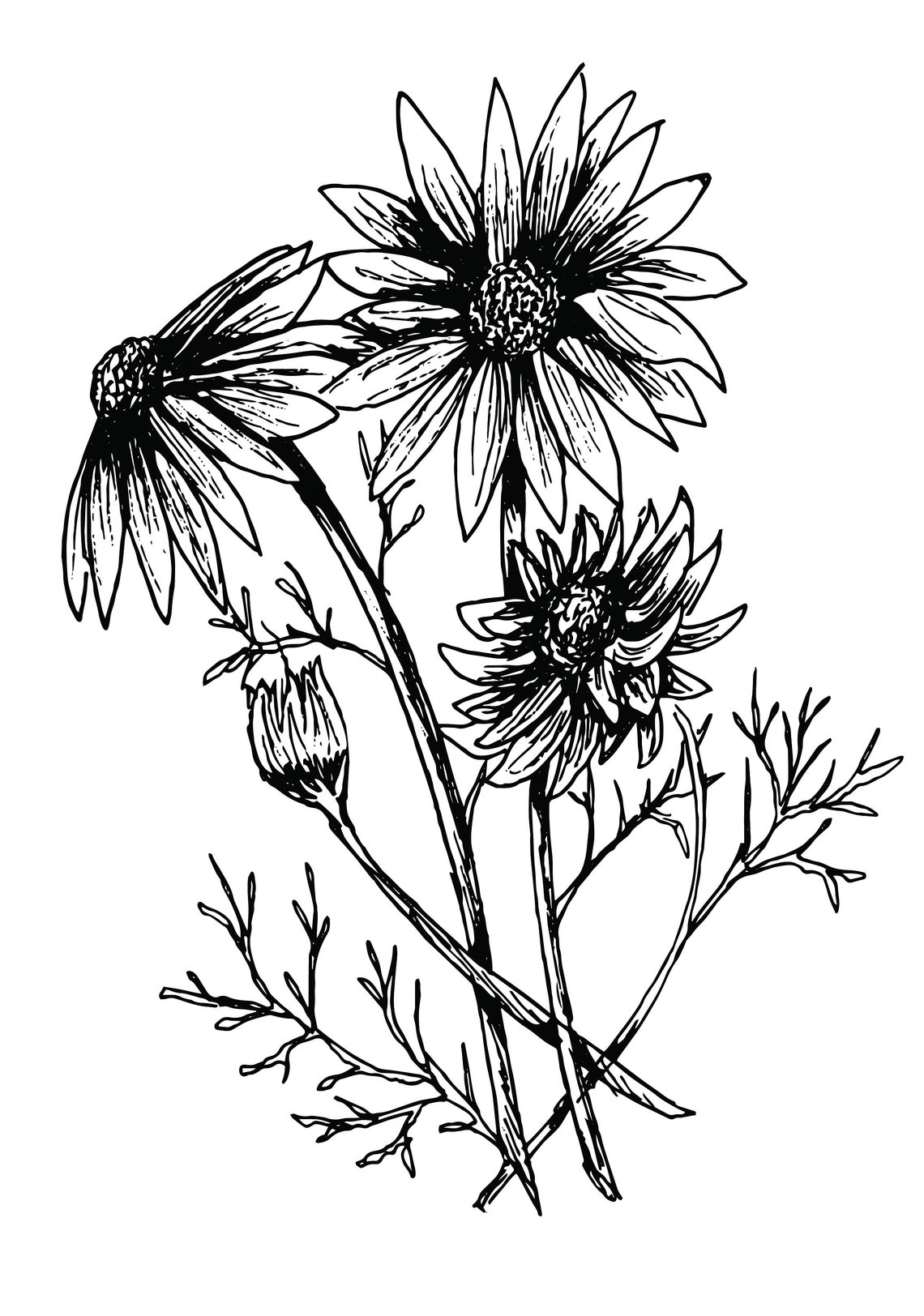 Downloadable Flowers Coloring Pages Packet of 4 (Instant Download) - Etsy